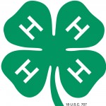 4-H program logo