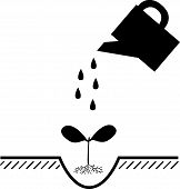 Clip art of plant and watering can